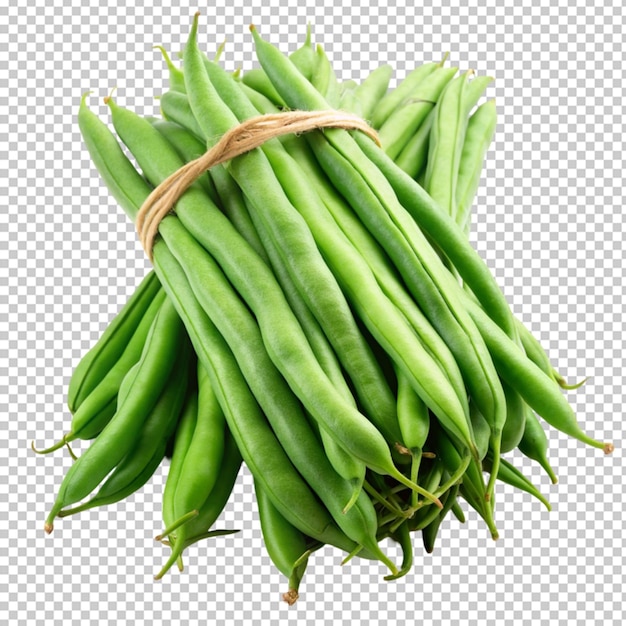 green beans or string beans isolated