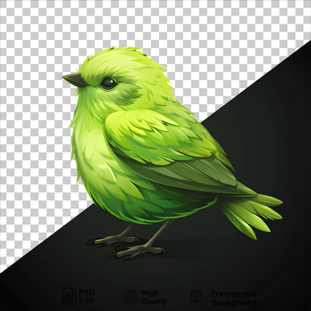 Green Bird Illustration on Transparent Background