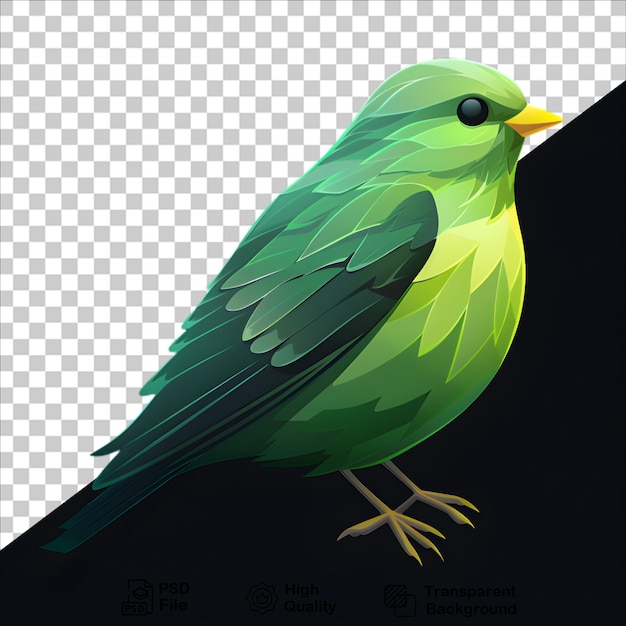 Green Bird Illustration on Transparent Background