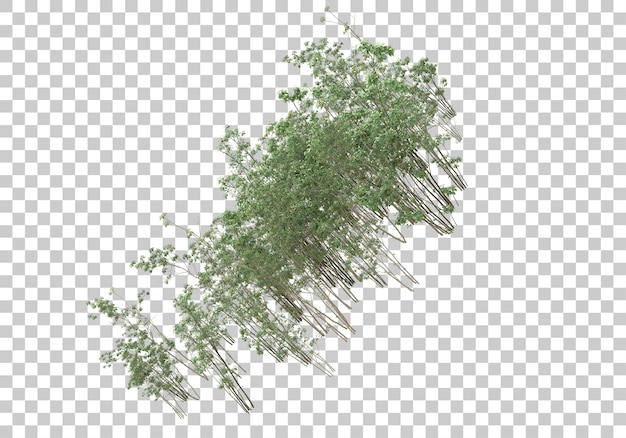 Green bush with transparent background 3d rendering illustration