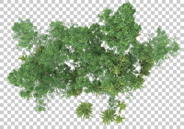 Green bush with transparent background 3d rendering illustration