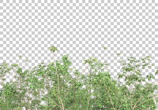 Green bush with transparent background 3d rendering illustration