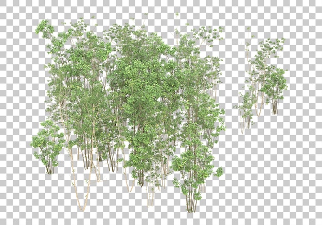 Green bush with transparent background 3d rendering illustration