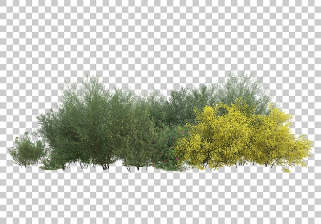 Green bushes on transparent background 3d rendering illustration