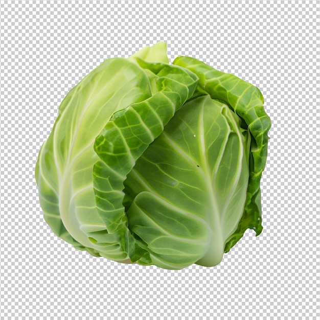 Green Cabbage On On Alpha Layer