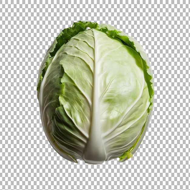 a green cabbage with a leaf on it