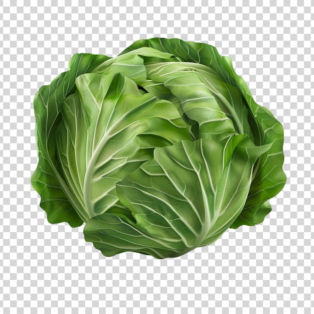 PSD green cabbage with transparent background