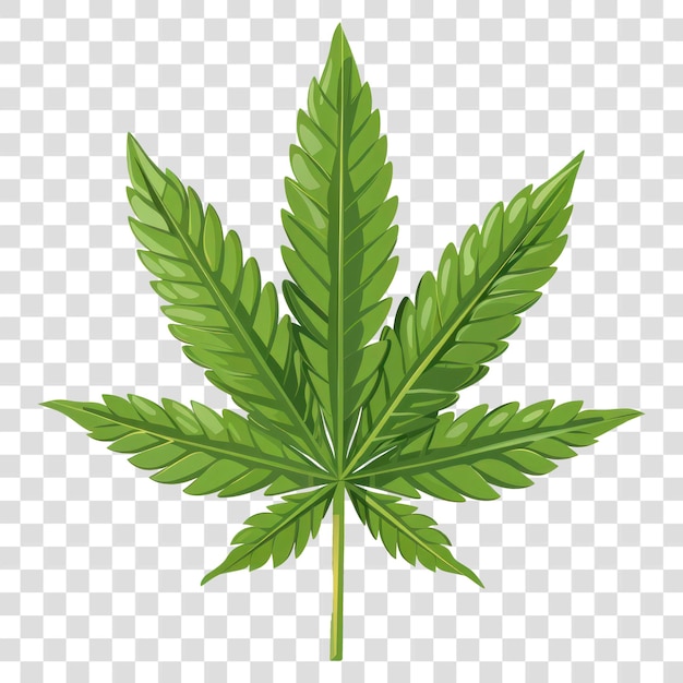 Green cannabis leaf illustration