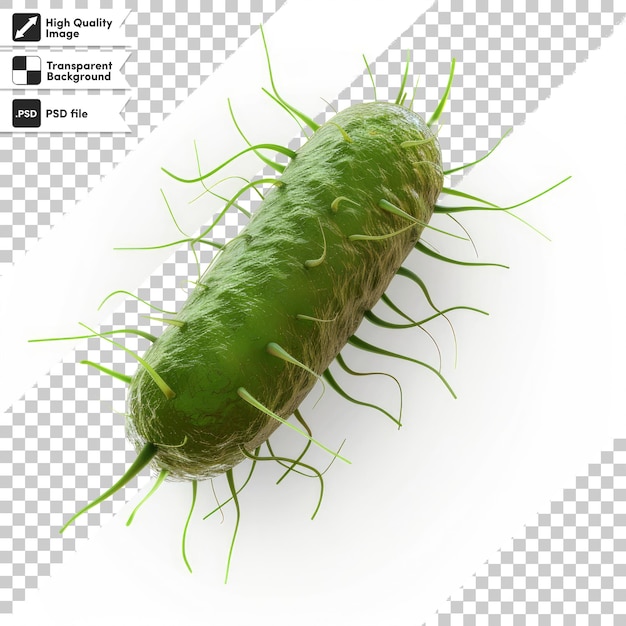 a green caterpillar that is on a white background