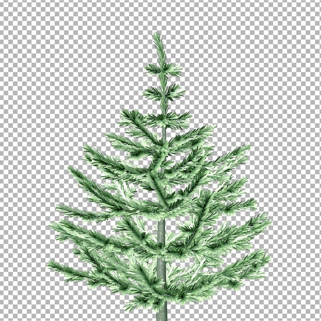 PSD a green christmas tree with a branch of a christmas tree