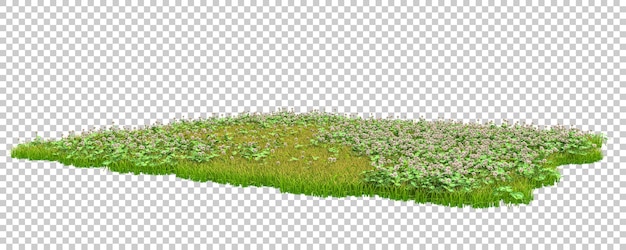 Green field of grass with flowers on transparent background 3d rendering illustration