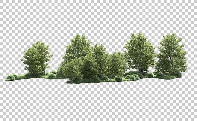 Green forest isolated on background 3d rendering illustration