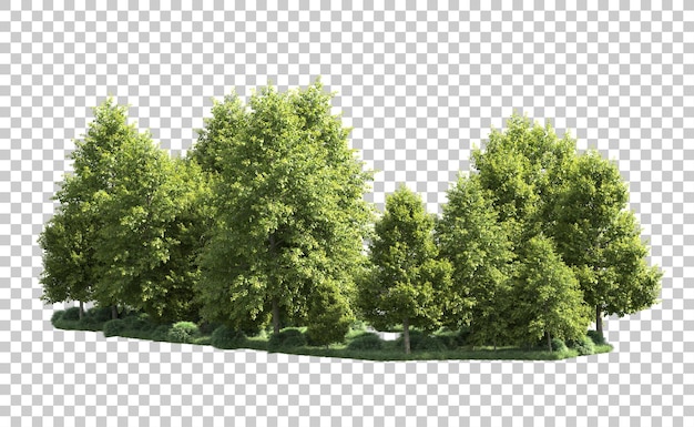 Green forest isolated on background 3d rendering illustration