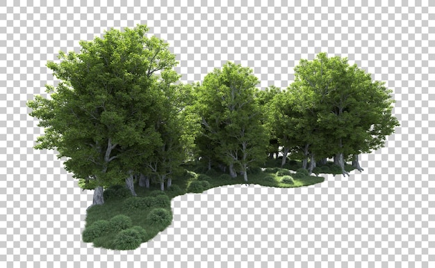 Green forest isolated on background 3d rendering illustration