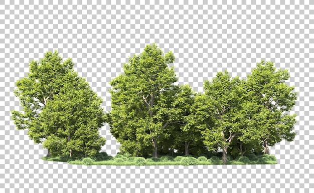 Green forest isolated on background 3d rendering illustration