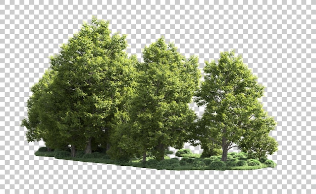 Green forest isolated on background 3d rendering illustration