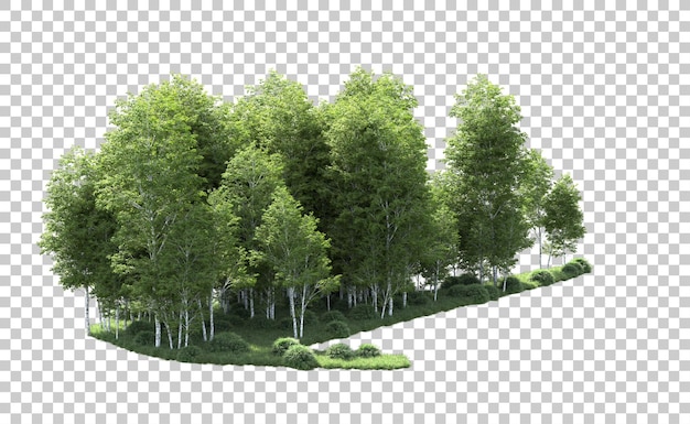 Green forest isolated on background 3d rendering illustration