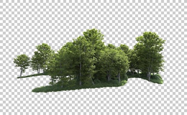 Green forest isolated on background 3d rendering illustration