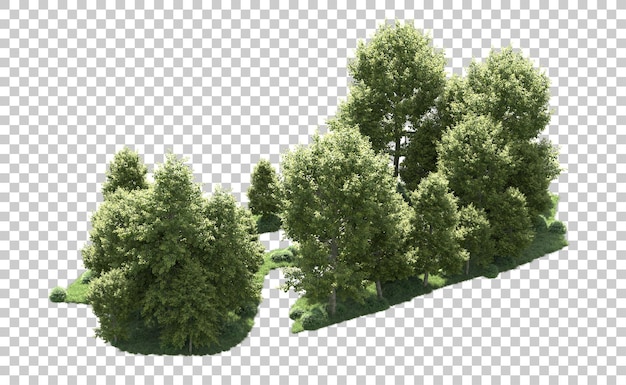 Green forest isolated on background 3d rendering illustration