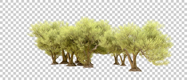 Green forest isolated on background 3d rendering illustration