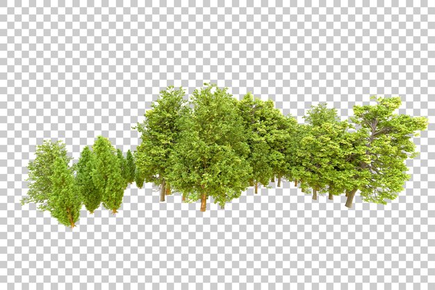 Green forest isolated on transparent background 3d rendering illustration