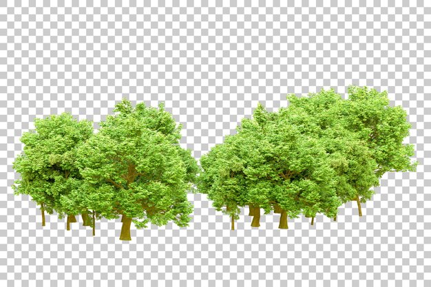 PSD green forest isolated on transparent background 3d rendering illustration