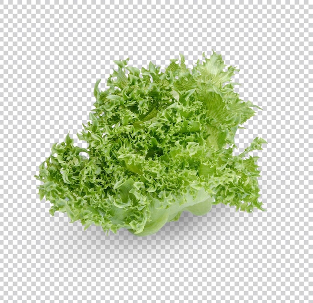 Green frillies iceberg lettuce isolated Premium PSD