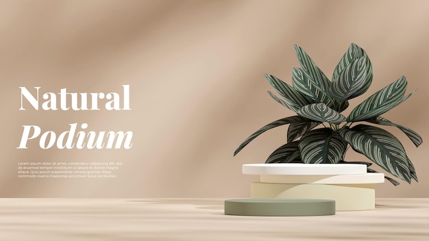 Green gradient podium in landscape with pink stripe calathea house plant 3d rendering mockup scene