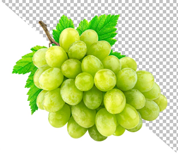 Green grape with leaves isolated on white background with clipping path