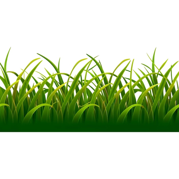 PSD green grass isolated on a transparent background 3