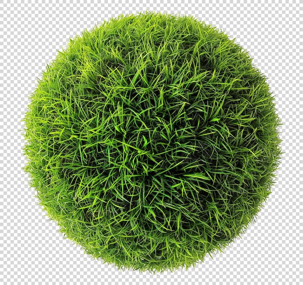 Green grass sphere on transparent background