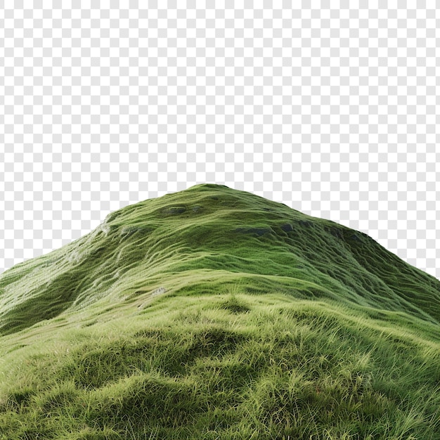 PSD green grassy hill