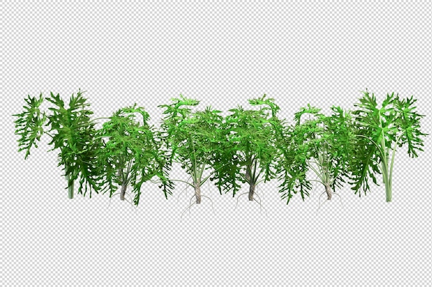 Green houseplant mockup in 3d rendering