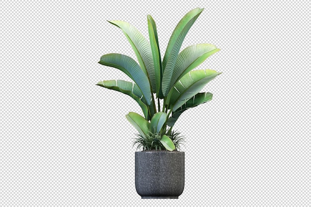 Green houseplant mockup in 3d rendering