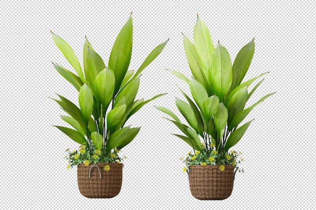 Green houseplant mockup in 3d rendering