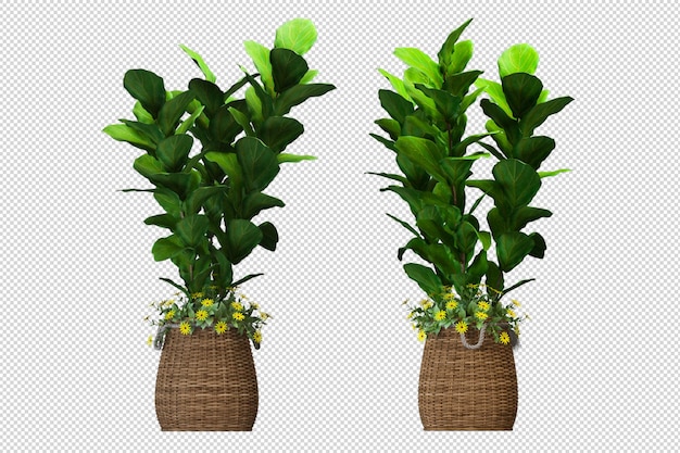 Green houseplant mockup in 3d rendering