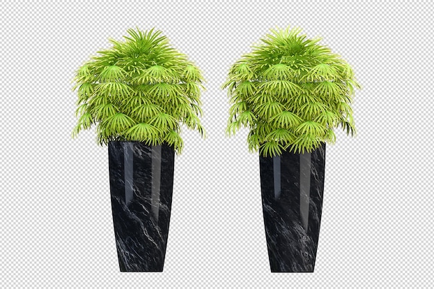 Green houseplant mockup in 3d rendering