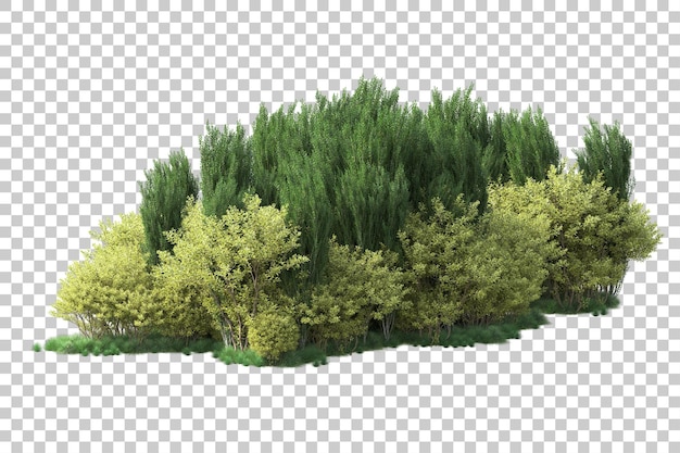 Green landscape isolated on transparent background 3d rendering illustration