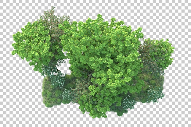 Green landscape isolated on transparent background 3d rendering illustration