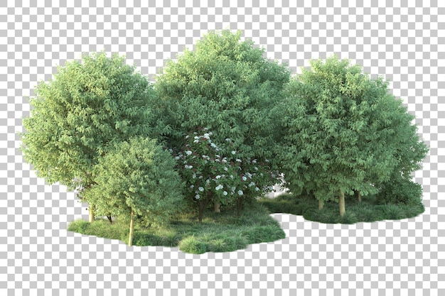 Green landscape isolated on transparent background 3d rendering illustration