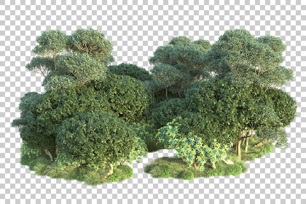 Green landscape isolated on transparent background 3d rendering illustration