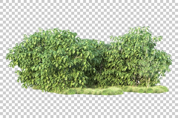 Green landscape isolated on transparent background 3d rendering illustration