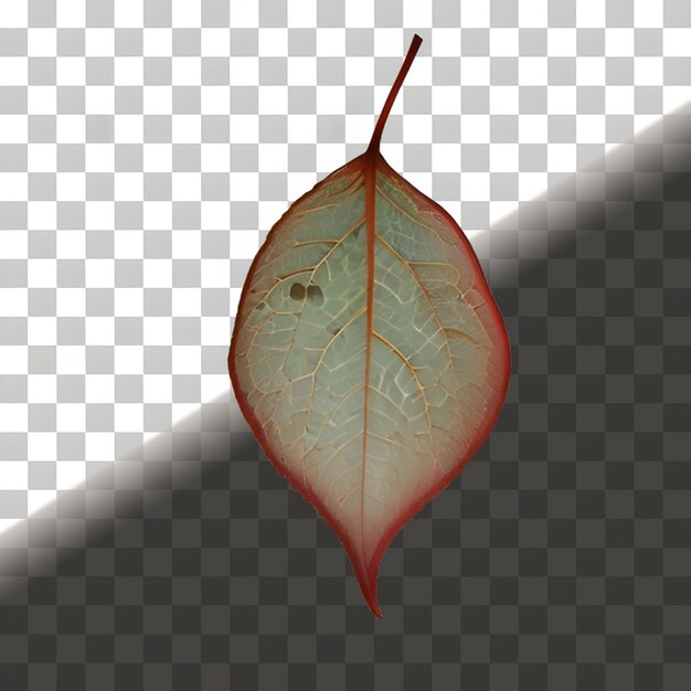 Green Leaf Isolated On Transparent Background