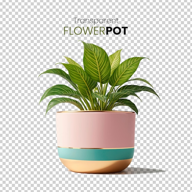 PSD green leafy plant deciduous tree in a 3d pot on a transparent background for table desk decor