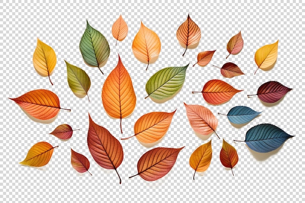 Green Leaves on Transparent background