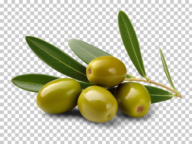 Green olives with leaves isolated on transparent or white background png