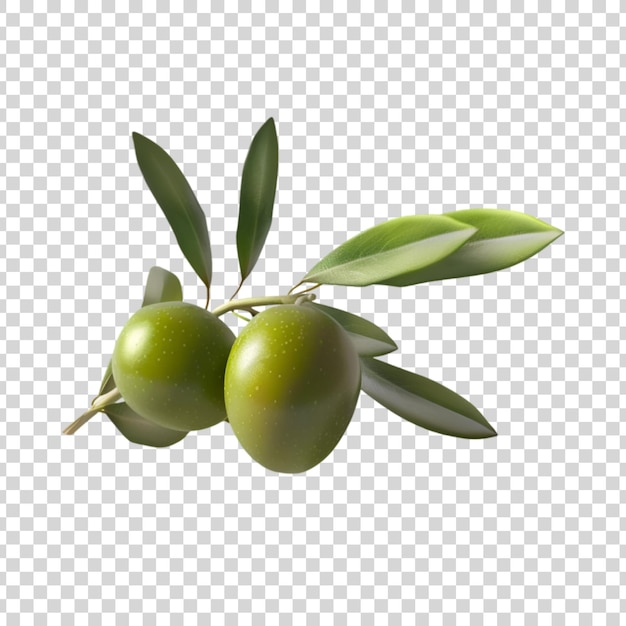 PSD green olives with leaves on a transparent background