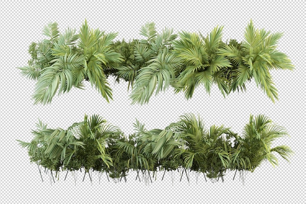 PSD green palm tree on a transparent background