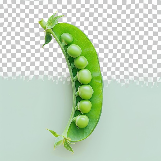 PSD a green pea pod with green leaves on a white background