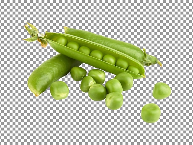 Green pea wit seeds on transparent background